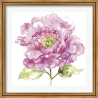 Framed Water Flower I