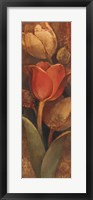 Framed Tulip Shadow II