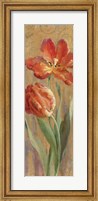 Framed Parrot Tulips on Gold II
