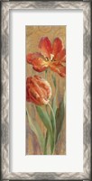Framed Parrot Tulips on Gold II
