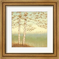 Framed Golden Birch I with Blue Sky