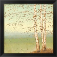 Framed 'Golden Birch II with Blue Sky' border=