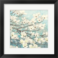 Framed Dogwood Blossoms II