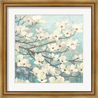 Framed Dogwood Blossoms II