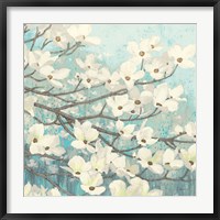 Framed Dogwood Blossoms II