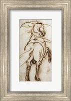 Framed Study of a Rearing Horse