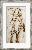 Framed Study of a Rearing Horse