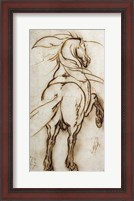 Framed Study of a Rearing Horse