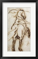 Framed Study of a Rearing Horse