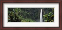 Framed Akaka Falls State Park, Hawaii, USA