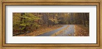 Framed Road passing through autumn forest, Great Smoky Mountains National Park, Cherokee, North Carolina, USA