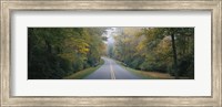 Framed Trees along a road, Blue Ridge Parkway, North Carolina, USA