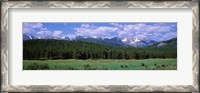 Framed Beaver Meadows Rocky Mountain National Park CO USA