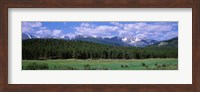 Framed Beaver Meadows Rocky Mountain National Park CO USA