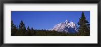 Framed Trees in a forest with snow covered mountains in the background, Grand Teton National Park, Wyoming, USA