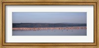 Framed Africa, Kenya, Lake Nakuru National Park, Lake Nakuru, Flamingo birds in the lake