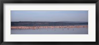 Framed Africa, Kenya, Lake Nakuru National Park, Lake Nakuru, Flamingo birds in the lake