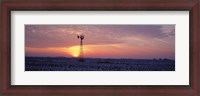 Framed Windmill Cornfield Edgar County IL USA