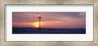 Framed Windmill Cornfield Edgar County IL USA