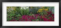 Framed Close-up of flowers in a garden