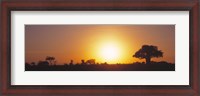 Framed Sunset, Tarangire, Tanzania, Africa