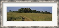 Framed Road passing through a grassland, Simba Kopjes, Road Serengeti, Tanzania, Africa