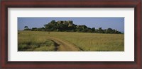 Framed Road passing through a grassland, Simba Kopjes, Road Serengeti, Tanzania, Africa