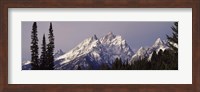 Framed Cathedral Group Mountains, Grand Teton National Park, Wyoming