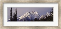 Framed Cathedral Group Mountains, Grand Teton National Park, Wyoming