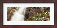 Framed Spalding Falls Grand Teton National Park WY
