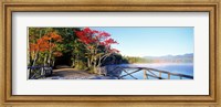 Framed Chocorua Lake White Mountains National Forest NH