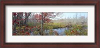Framed Trees in a forest, Damariscotta, Lincoln County, Maine, USA