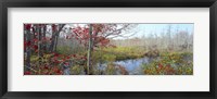 Framed Trees in a forest, Damariscotta, Lincoln County, Maine, USA