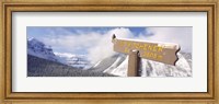 Framed Clark's Nutcracker (Nucifraga columbiana) perching on mountain sign, Mt. Kitchener, Jasper National Park, Alberta, Canada