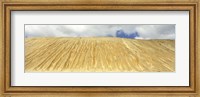 Framed Eroded copper tailing, Ruth, White Pine County, Nevada, USA