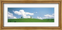 Framed Grassland with blue sky and clouds