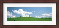 Framed Grassland with blue sky and clouds