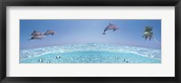 Framed Dolphins Leaping In Air