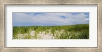 Framed Sand dunes at Crane Beach, Ipswich, Essex County, Massachusetts, USA