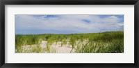 Framed Sand dunes at Crane Beach, Ipswich, Essex County, Massachusetts, USA