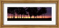 Framed Silhouette of palm trees on the beach, Puuhonua o Honaunau National Historical Park, Big Island, Hawaii, USA