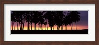 Framed Silhouette of palm trees on the beach, Puuhonua o Honaunau National Historical Park, Big Island, Hawaii, USA