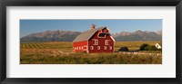 Framed Barn in a field with a Wallowa Mountains in the background, Enterprise, Wallowa County, Oregon, USA