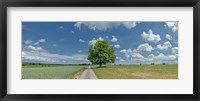Framed Country road passing through a field, Horb Am Neckar, Baden-Wurttemberg, Germany
