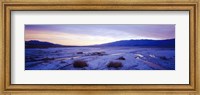 Framed Snow covered landscape in winter at dusk, Temple Sinacana, Zion National Park, Utah, USA