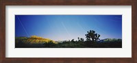 Framed Star trails over Red Rock Canyon National Conservation Area, Nevada, USA