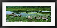 Framed Boats in Hoang Long River, Kenh Ga, Ninh Binh, Vietnam