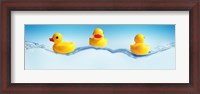 Framed Three ducks on water
