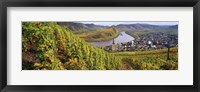 Framed High angle view of vineyards with town along the river, Bremm, Mosel River, Calmont, Rhineland-Palatinate, Germany