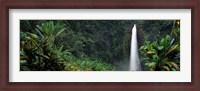 Framed Akaka Falls State Park, Hawaii, USA